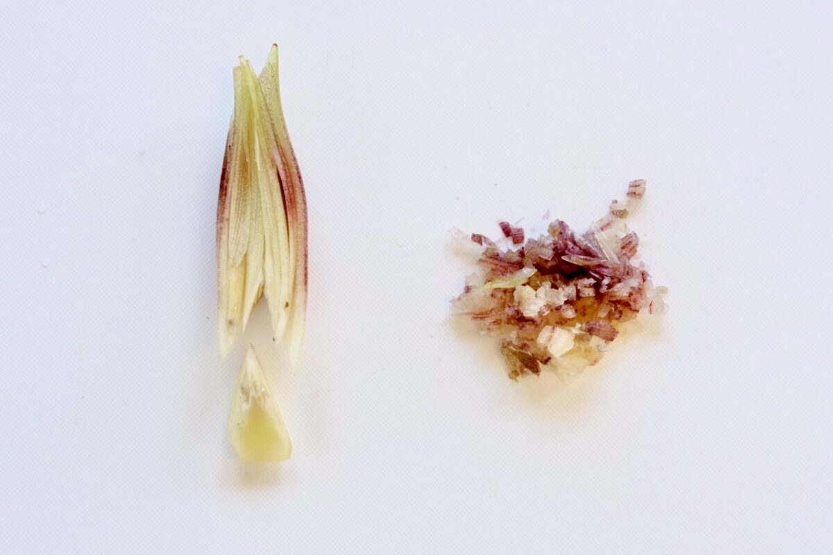 ロバート馬場 焼きナス