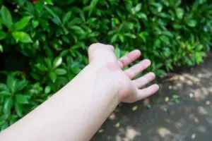 sirabee20250628shiro3