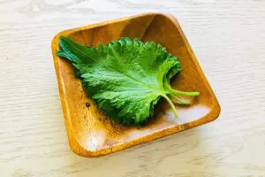 ギャル曽根の「大葉の保存術」がおいしくて最高… “2つの調味料”に漬けるだけ