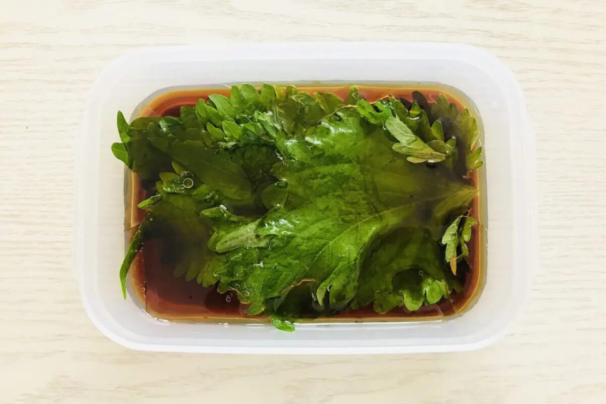 大葉の保存術