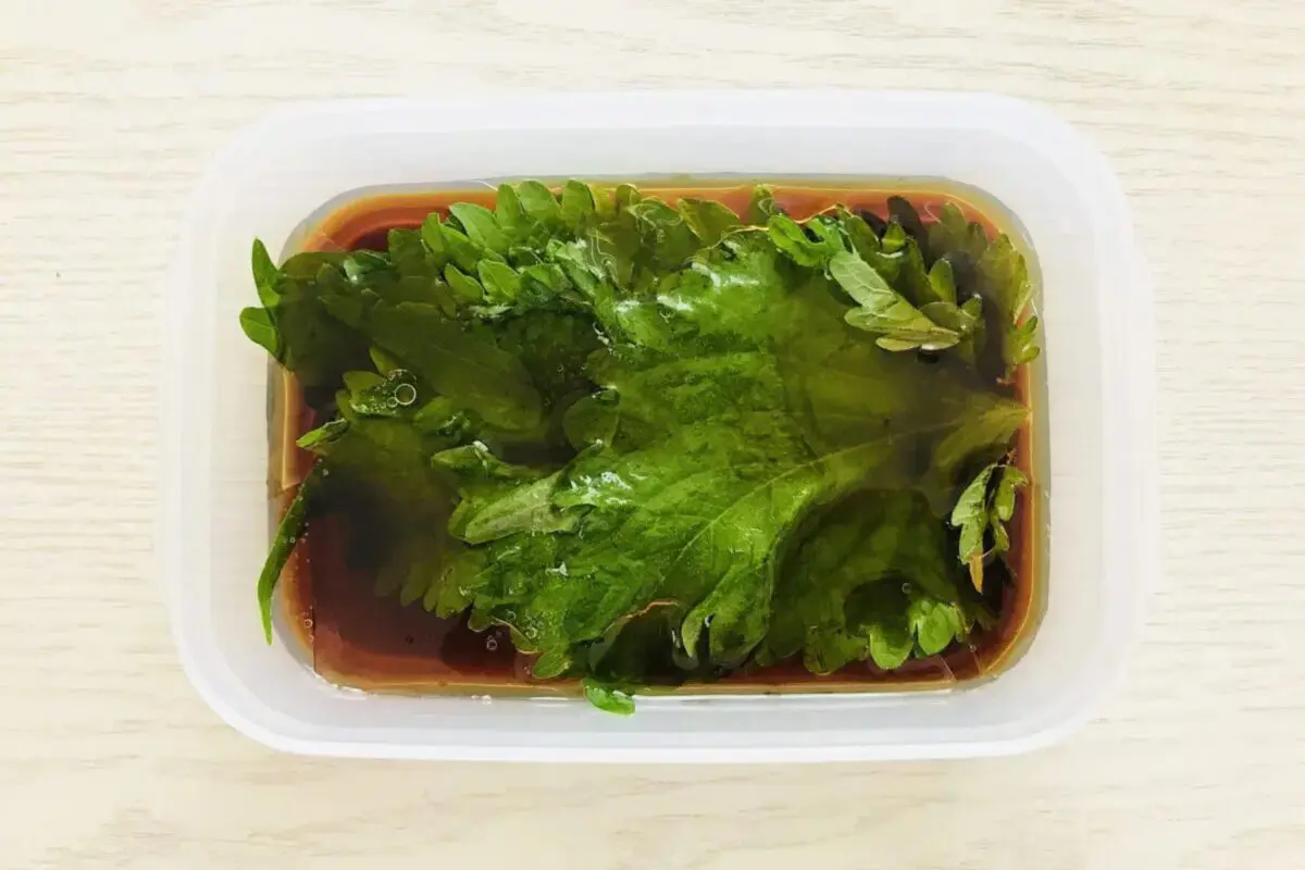 sirabee20250803ooba4