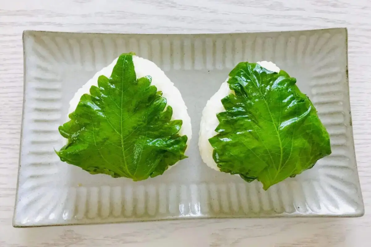 sirabee20250803ooba6