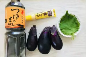 sirabee20250811nasunoyakibitashi1