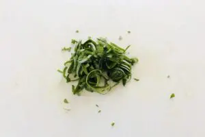 sirabee20250811nasunoyakibitashi4