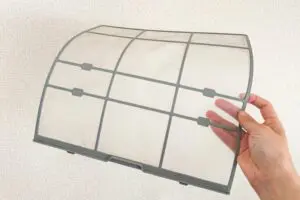 sirabeee20250616sukkiribou5