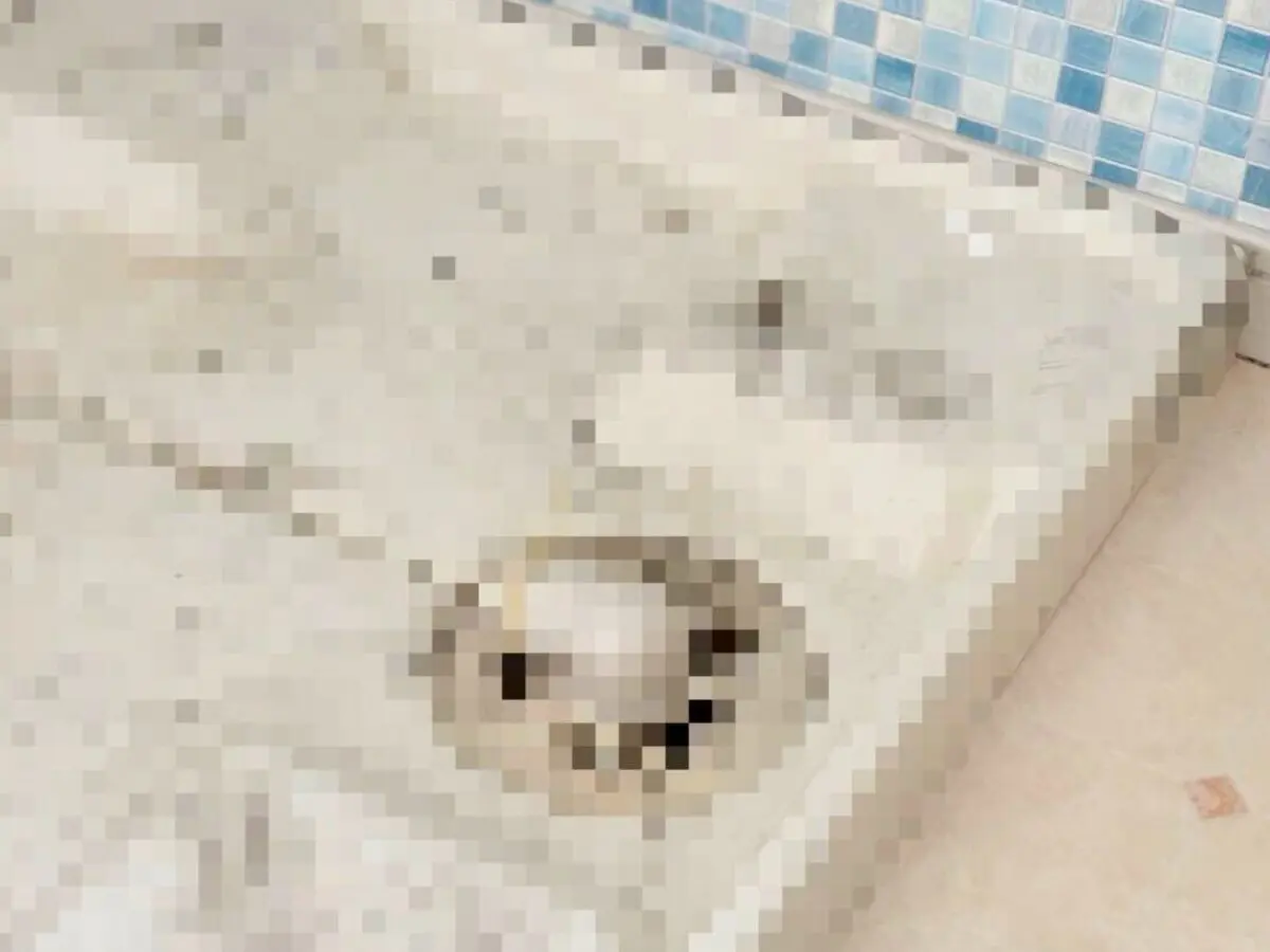 sirabee20220711yamazakijitsugyo