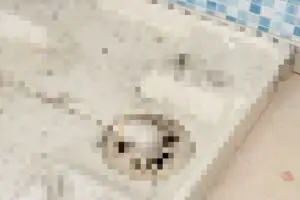 sirabee20220711yamazakijitsugyo