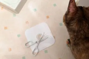 sirabee20220711yamazakijitsugyo4