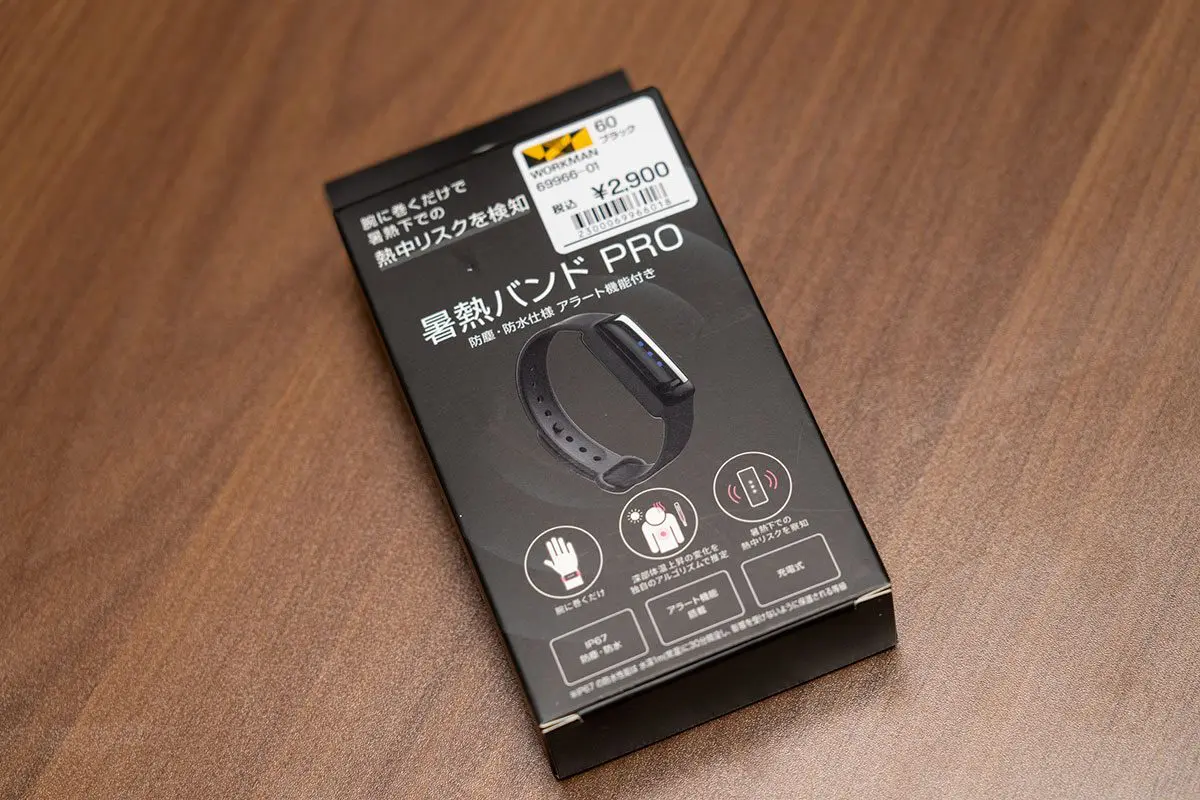 sirabee202507012workman22