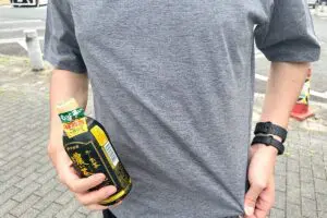 ワークマン「汗が染みても目立ちにくいTシャツ」　猛暑日に5時間着たガチな感想