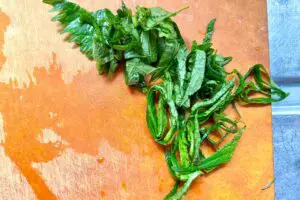 sirabee20250702hiyajiru5