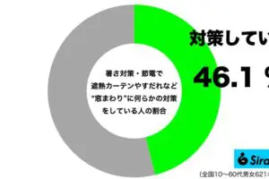 sirabee20250702window1