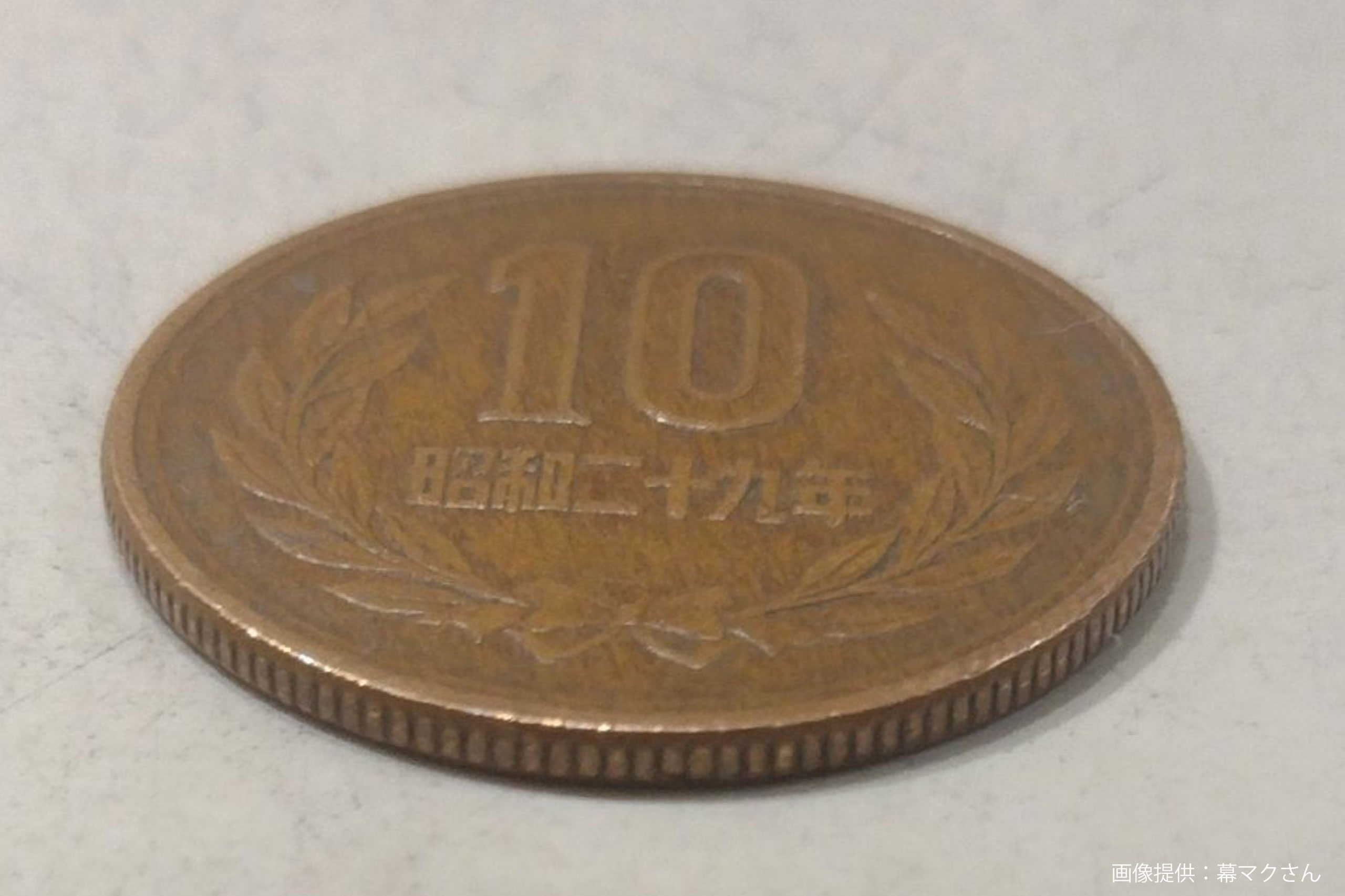 一見普通の10円玉、とんでもない正体にギョッとした 完璧すぎる「擬態」にネット民驚愕 – Page 2 – Sirabee