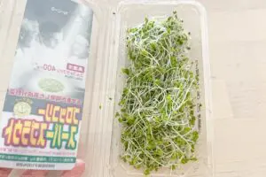 sirabee20250704broccolisprouts2