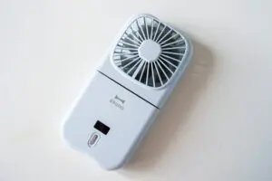 sirabee20250706bruno1