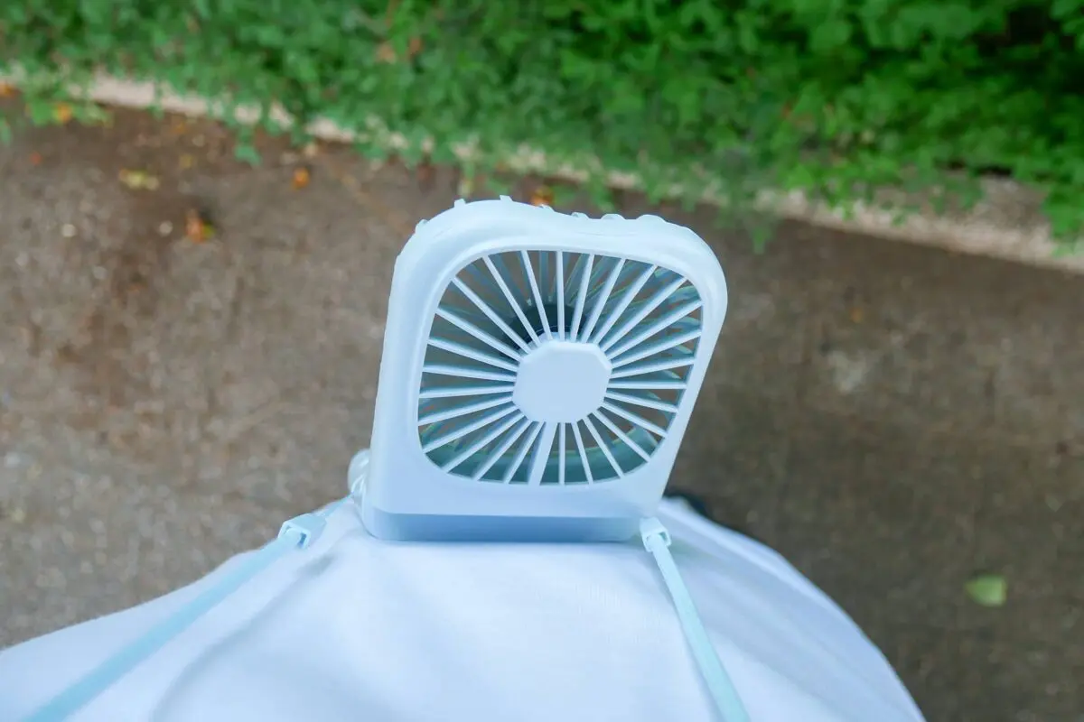 sirabee20250706bruno5