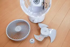 sirabee20250707circulator2