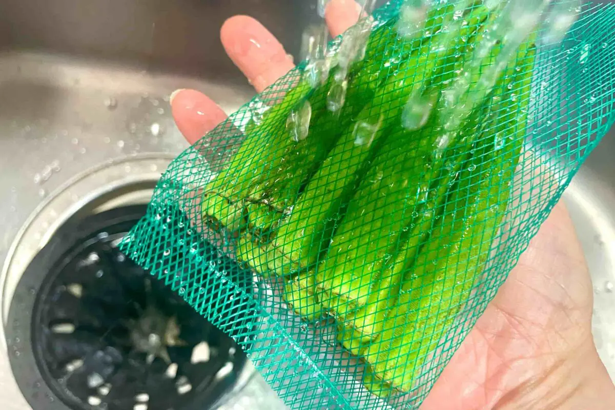 sirabee20250707okura2