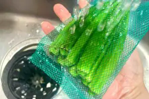 sirabee20250707okura2