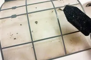 sirabee20250707yamazakijitsugyo5