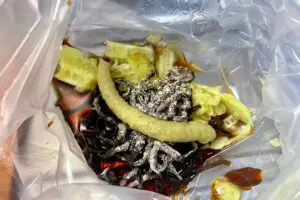 sirabee20250709cucumber3