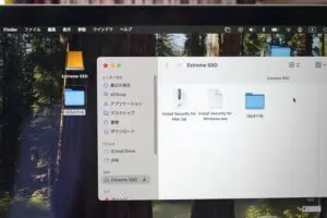 sirabee20250709sandisk8