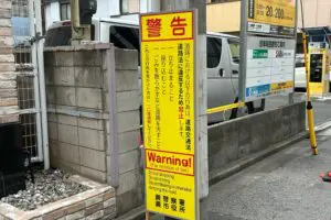 sirabee20250710warabi2