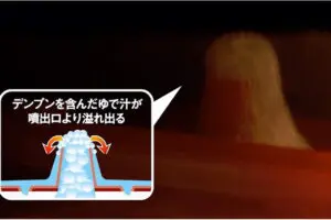 sirabee20250711pasta6