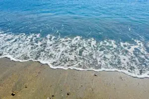 日焼け不可避だけど… 約9割もの人が行ったことのある「夏のレジャー」に納得