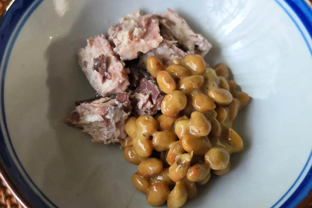 sirabee20250714somen6 (1)