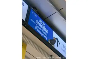 sirabee20250715tachikawa2