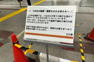 sirabee20250715tachikawa4