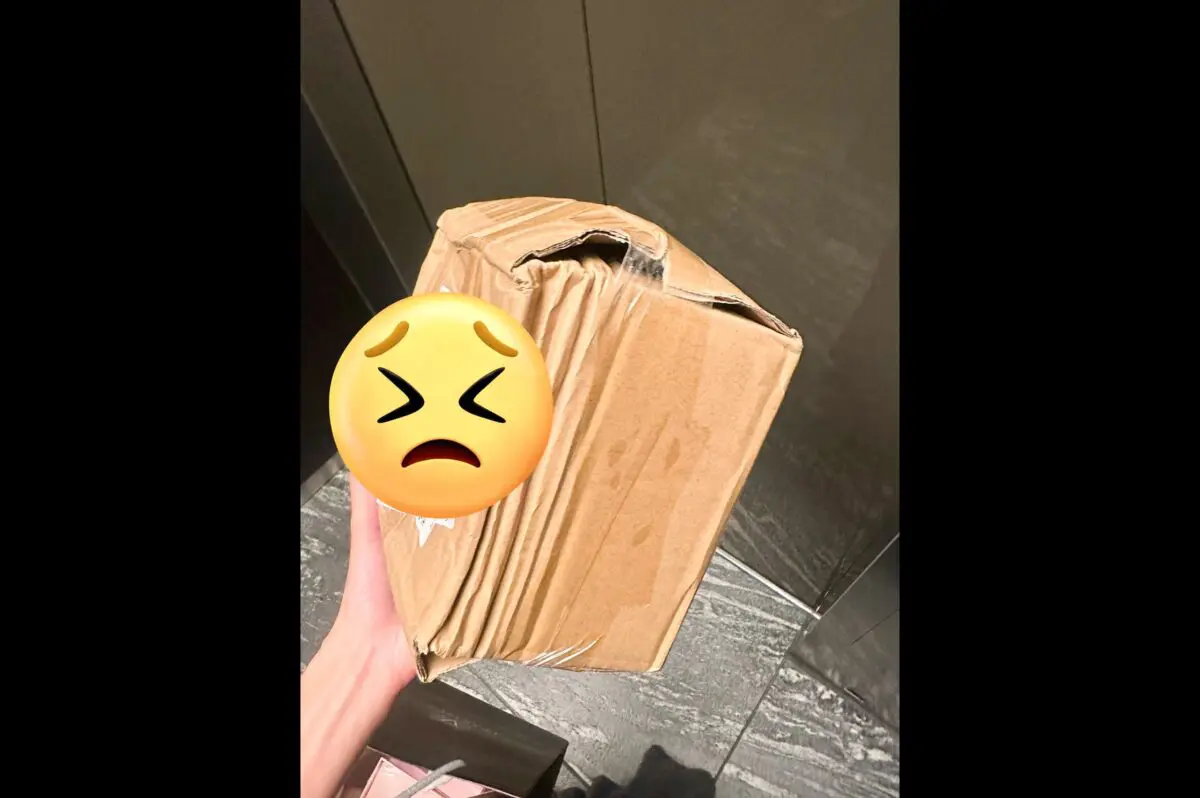 sirabee20250717kumakiriasami