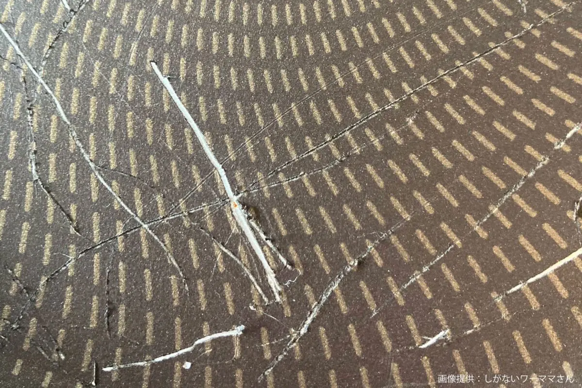 sirabee20250718fryingpan