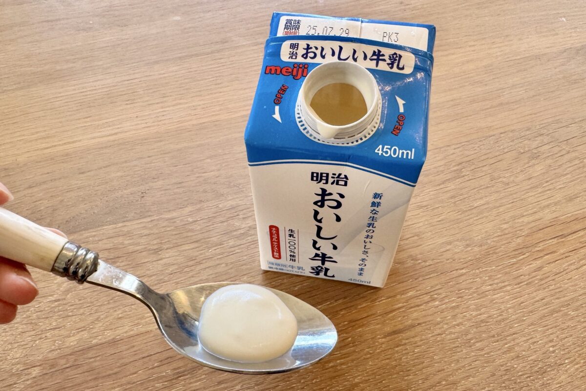 syuncooking 牛乳パックそのままアイスクリーム
