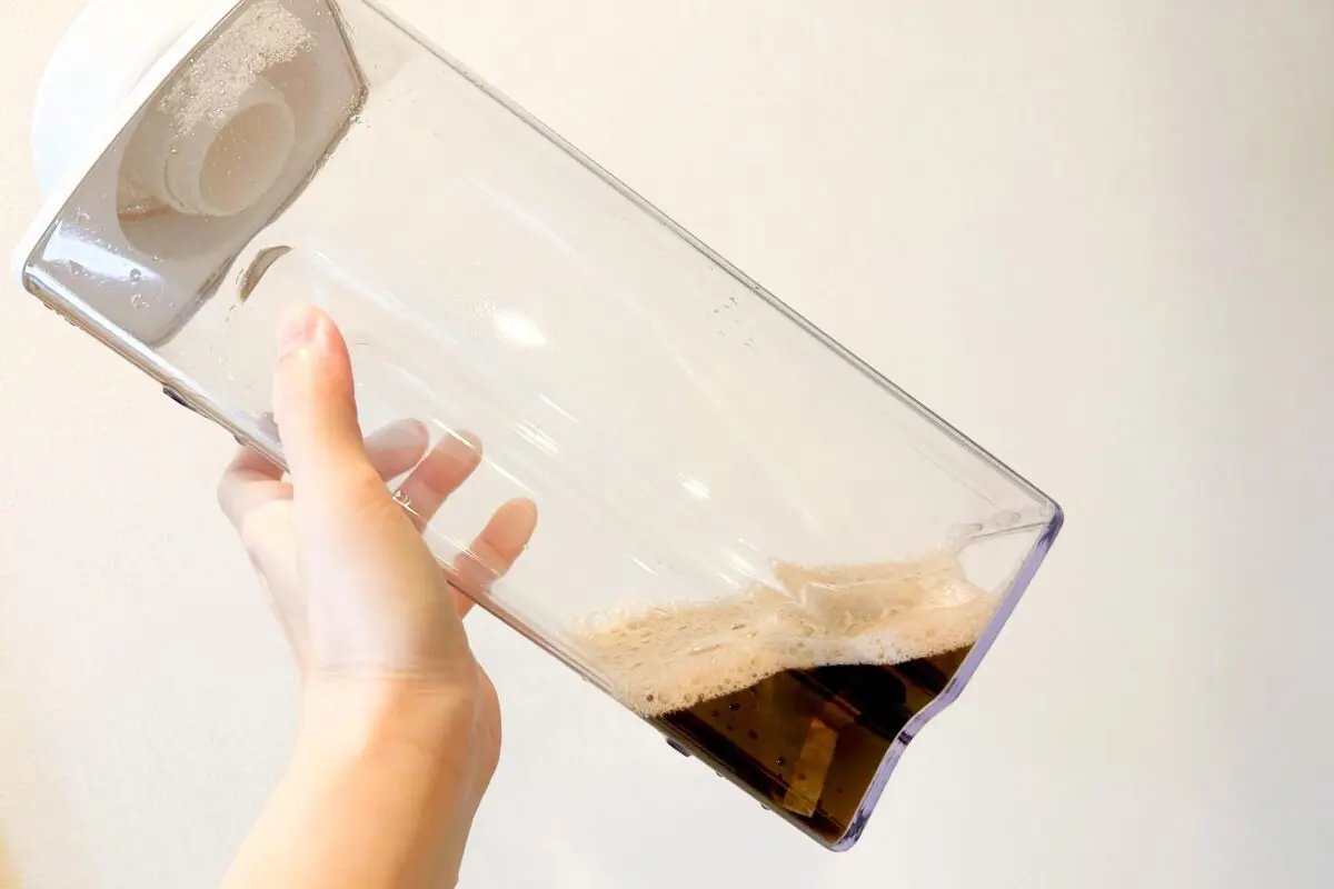 sirabee20250718mugicha6