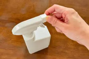 sirabee20250718spray7