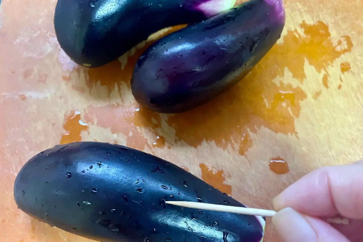 sirabee20250723eggplant4