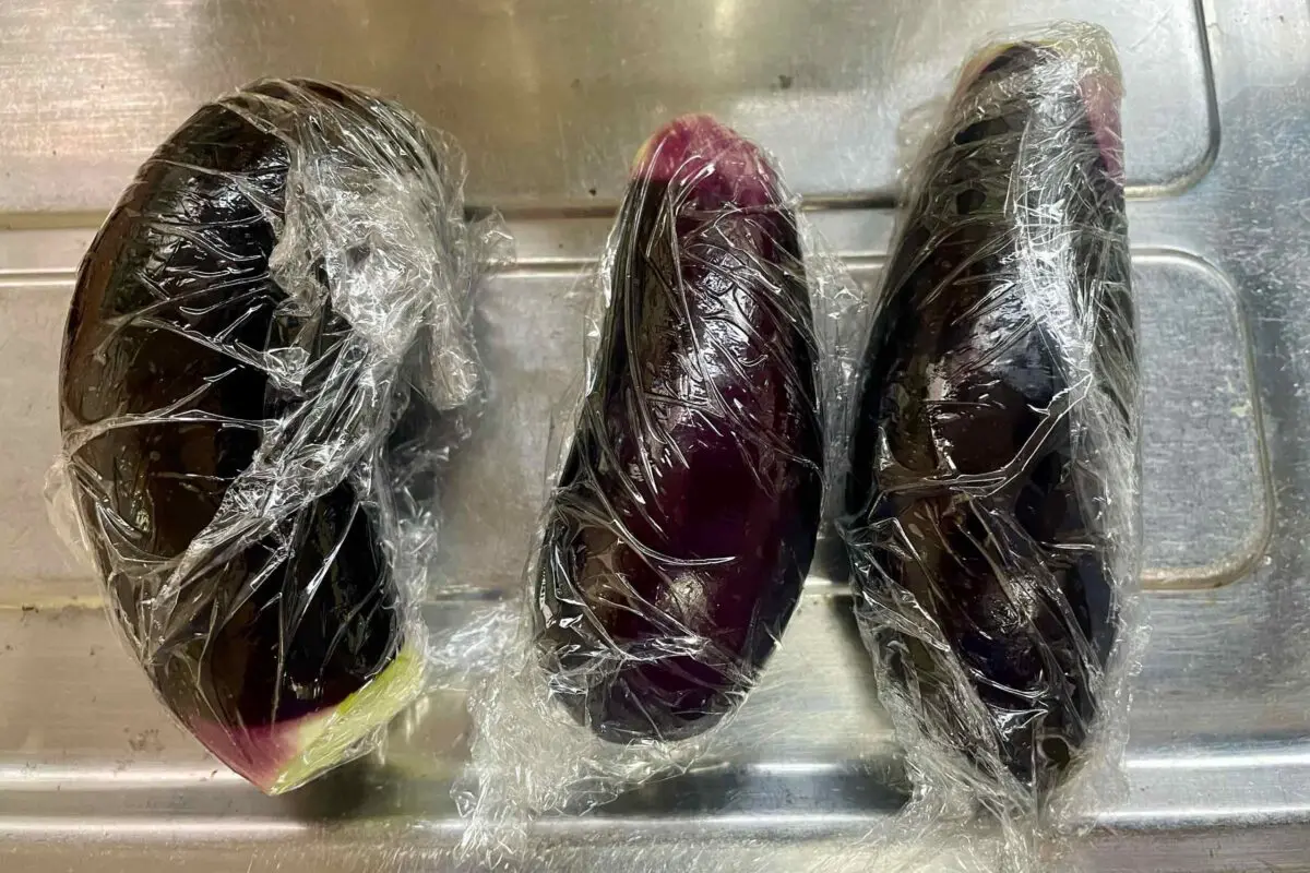 sirabee20250723eggplant5