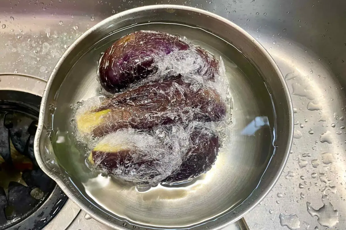 sirabee20250723eggplant6