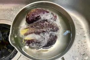 sirabee20250723eggplant6