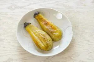 sirabee20250725nasusomen4