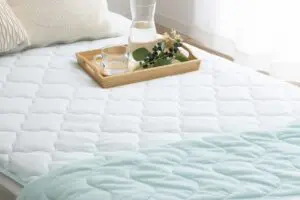 熱帯夜は、「ひんやりとろん」な敷きパッドが最強 これは絶対に導入しておきたい…