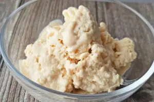 罪悪感ゼロで毎日食べたいアイス　ヨーグルトに“コレ”を混ぜたら激ウマだった