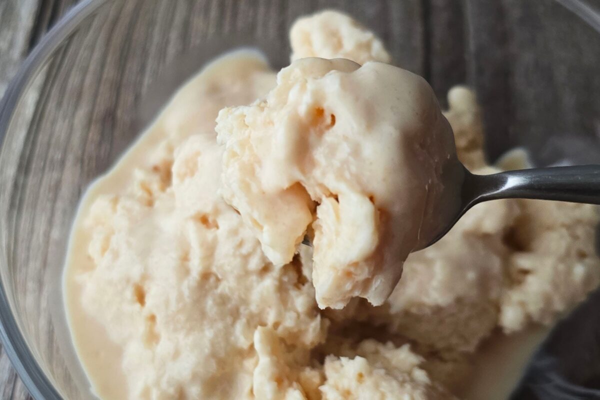 きな粉のヨーグルトアイス・実食