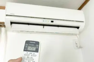 sirabee20250729eakon