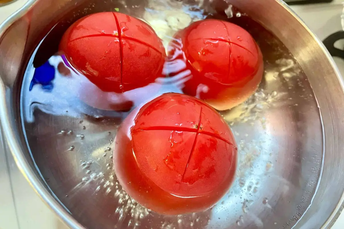 sirabee20250729tomato4