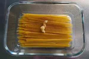 sirabee20250730pasta2