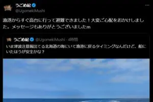 北海道で津波注意報発令中、海に出ていたYouTuber　避難したことを報告「ご無事で良かった」
