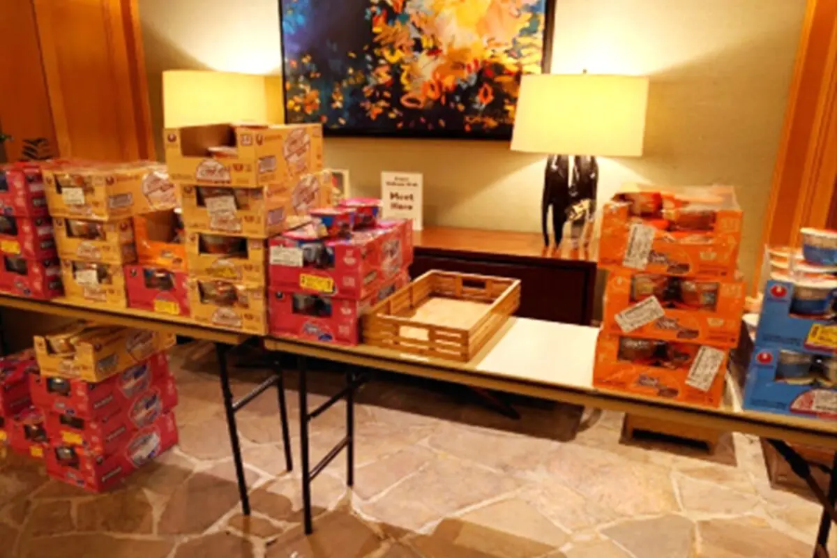 sirabee20250731akino2